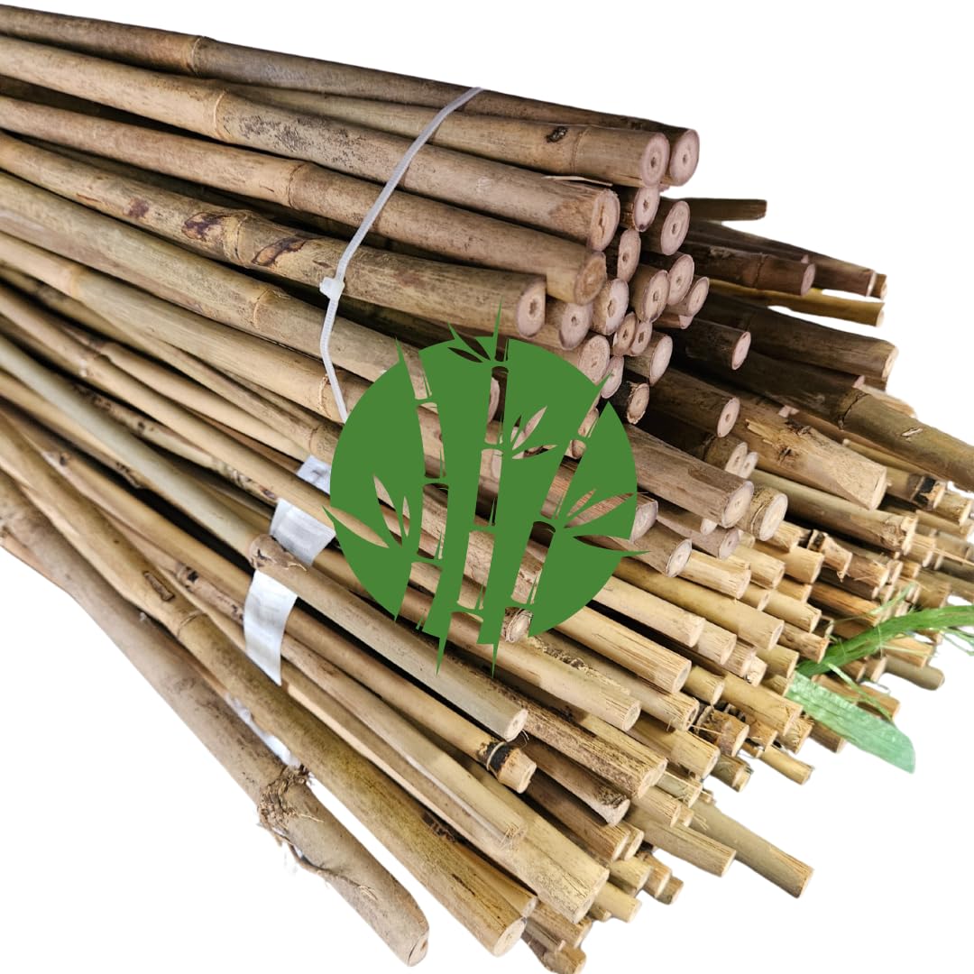 Set di 25 Tutori in Bambù Naturale – Pali per Pomodori, Sostegni per Piante da Interno ed Esterno – Bastoni per Orto e Giardinaggio – Lunghezze da 90 a 240 cm (H cm 210 X Ø mm 16-18)
