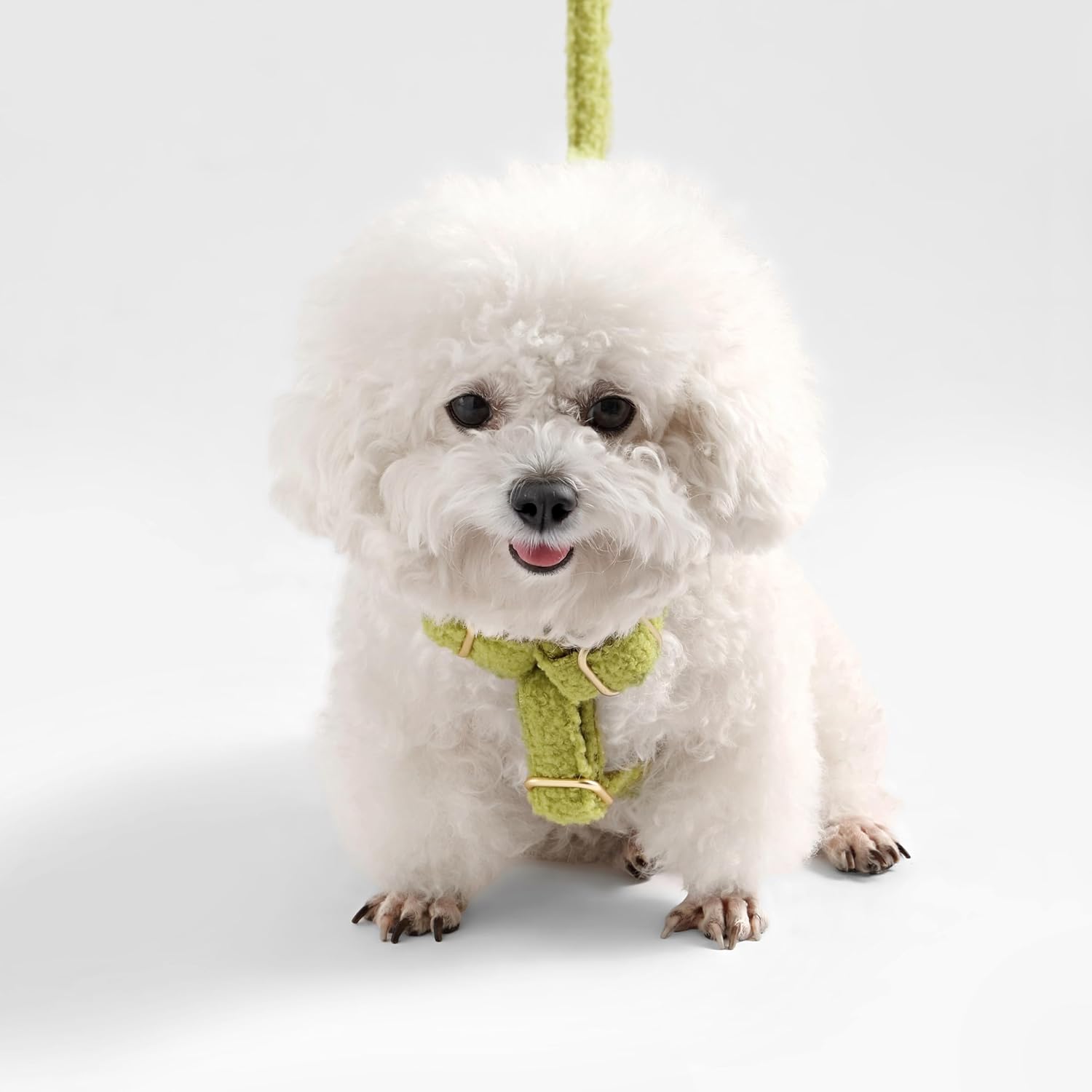 WLK1000B-4SET Teddy Extra Small Bouclé Adjustable H Harness and Leash Walk Set with Poop Bag Pouch, Citron