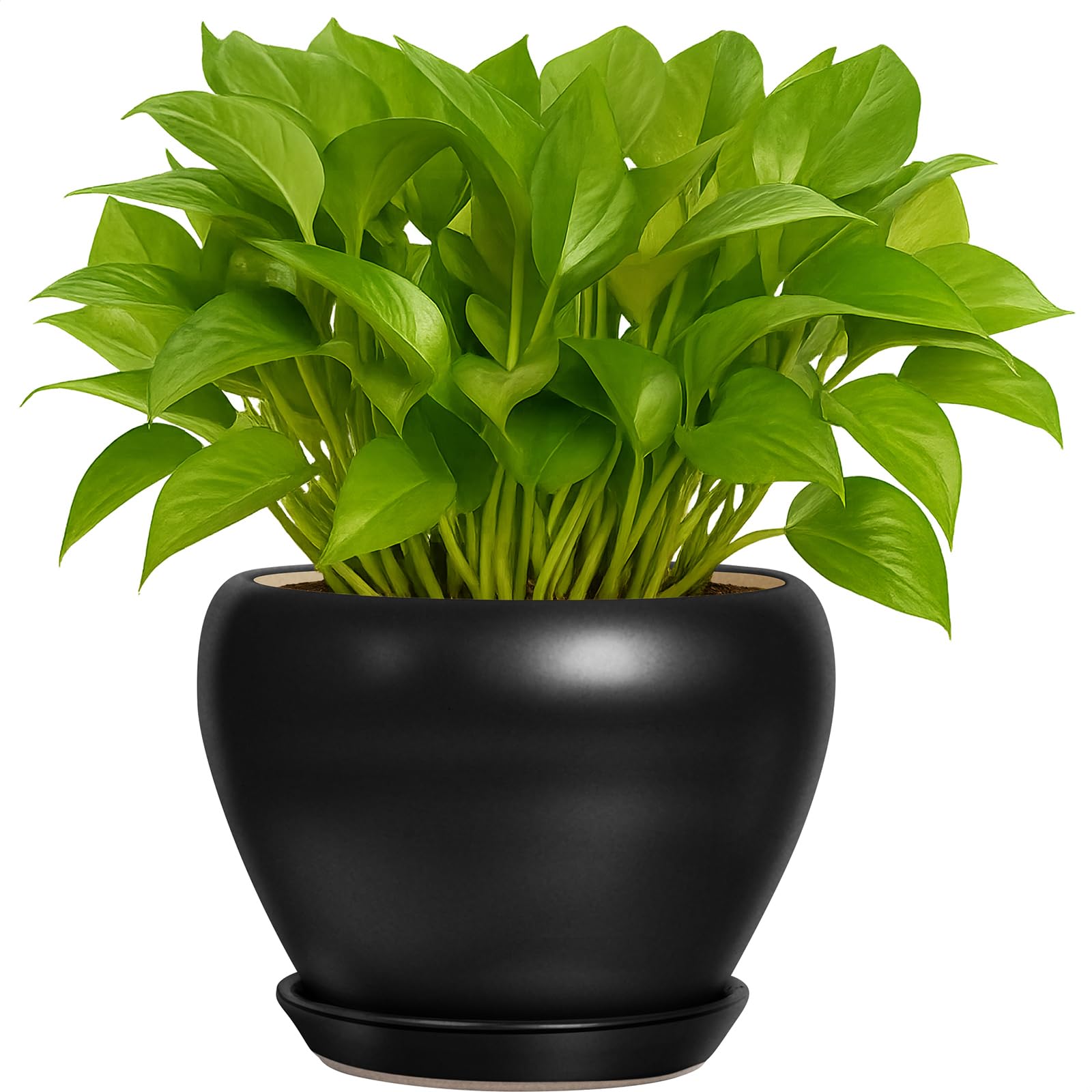 Photo 1 of Deep Dream 6 Inch Ceramic Planter Pot - Matte Black