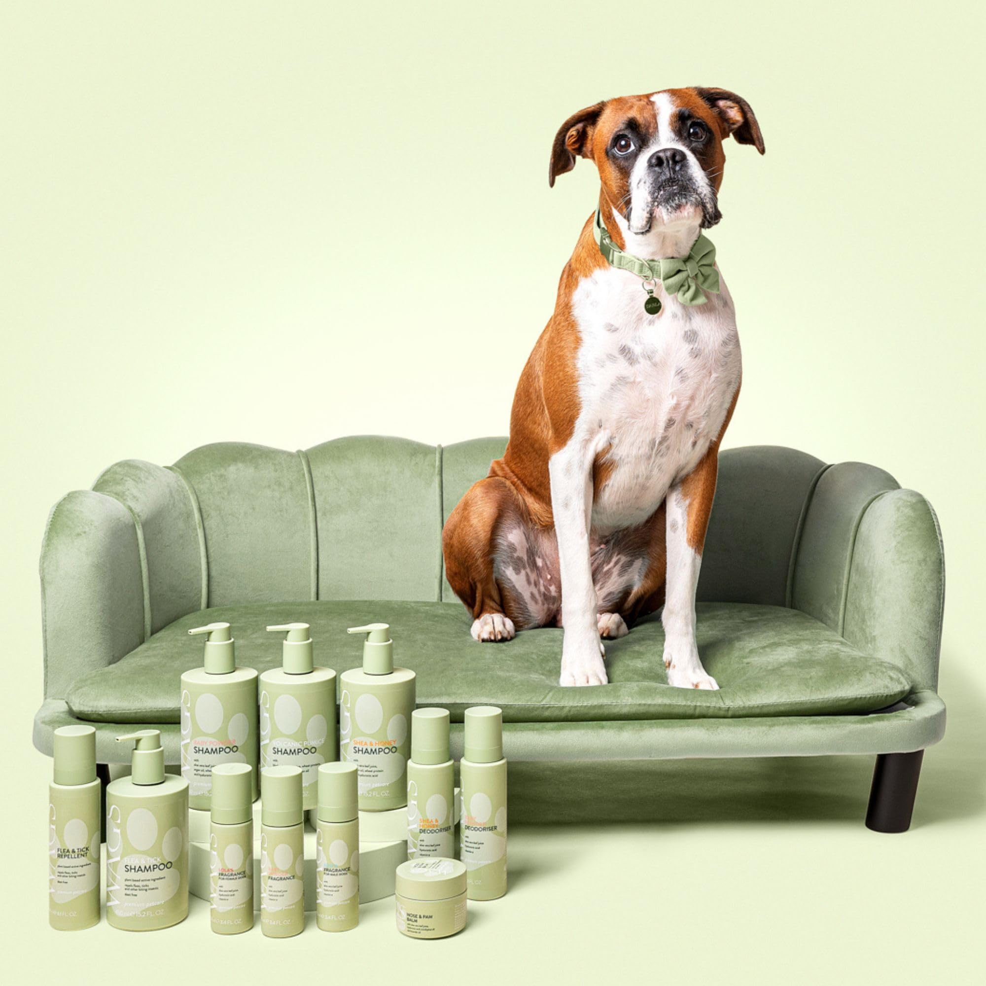 WAGS Hund Natürlicher Deodorant mit Aloe Vera, Vitamin E und Hyaluronsäure, Alkoholfrei für Welpen und Hunde, Entfernt schlechten Geruch, Babypuder-Duft 180ml