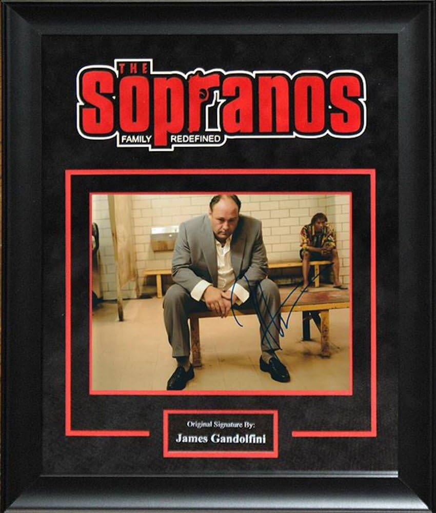The Sopranos Signed by James Gandolfini Movie Poster in Framed Case