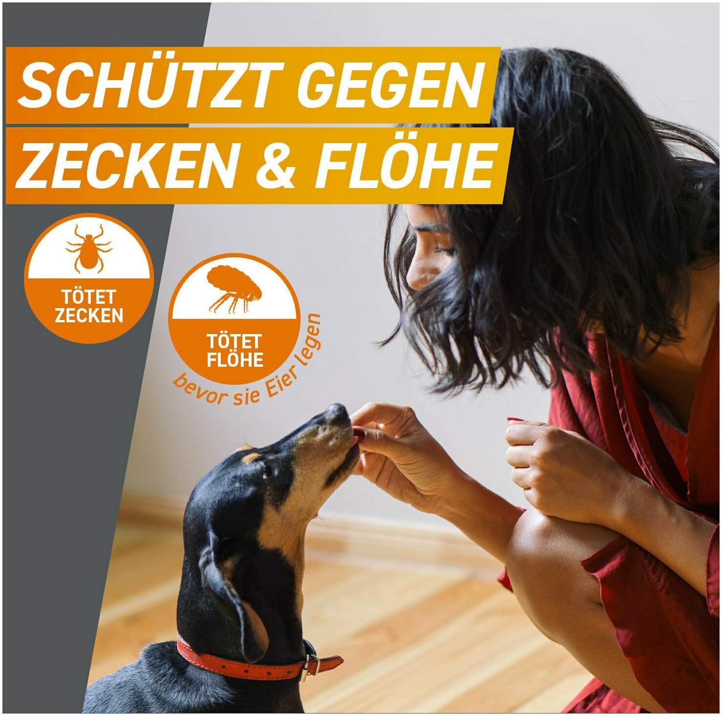 Frontpro 68 mg für Hunde 10-25 kg 3 Kautabletten + gratis Fellhandschuh