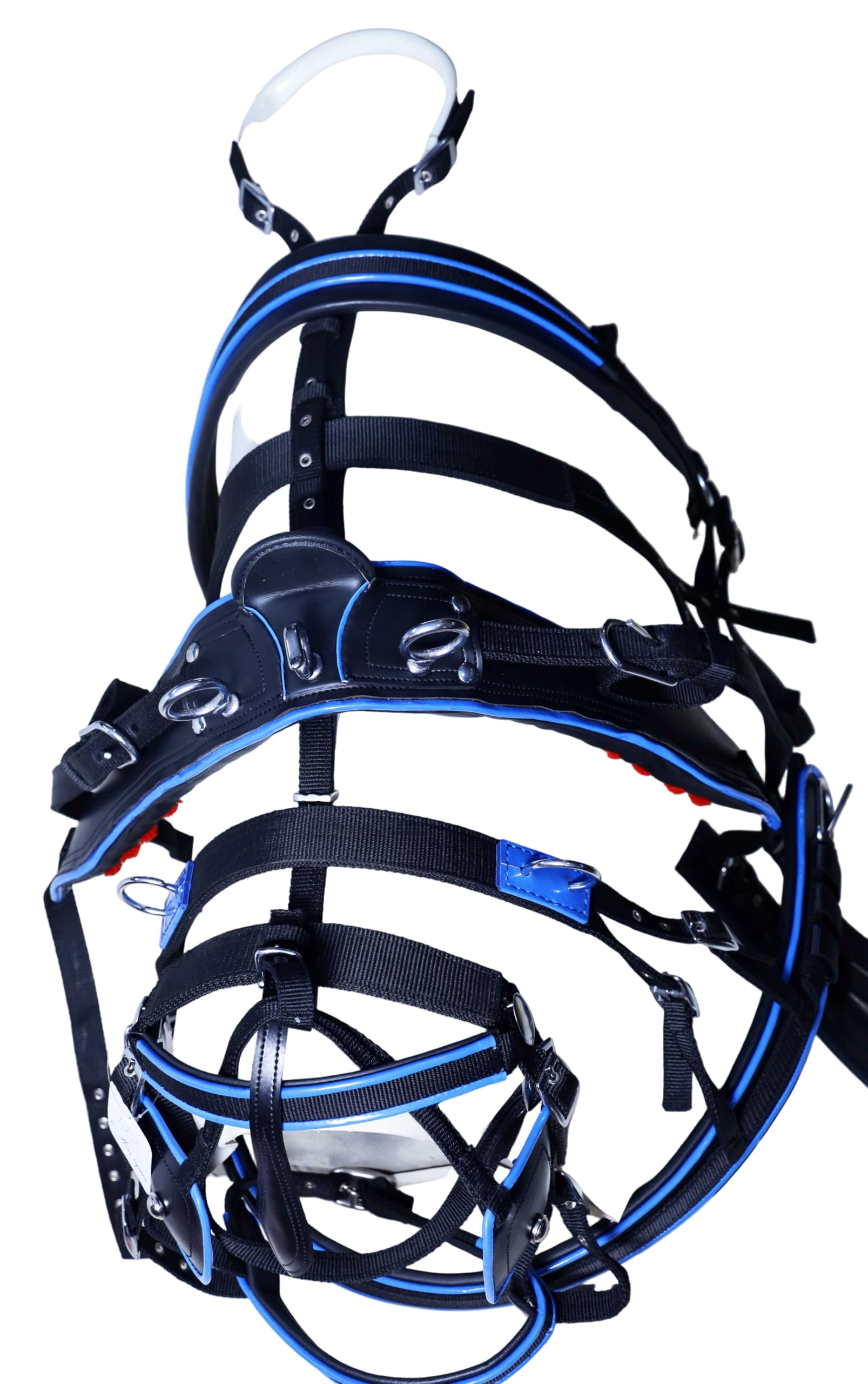 Harnais de conduite en nylon pour chariot de cheval Noir/bleu (Mini Shetland)