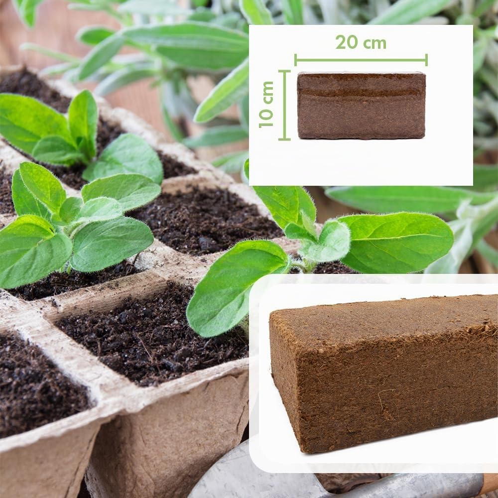 Kokoshumusziegel als Hochbeeterde, Blumenerde für Pflanzen/Zimmerpflanzen - 24x650g - natürliche Kokoserde als Alternative zur herkömmlichen Blumenerde für EIN kräftiges Wurzelwachstum (216 Liter)