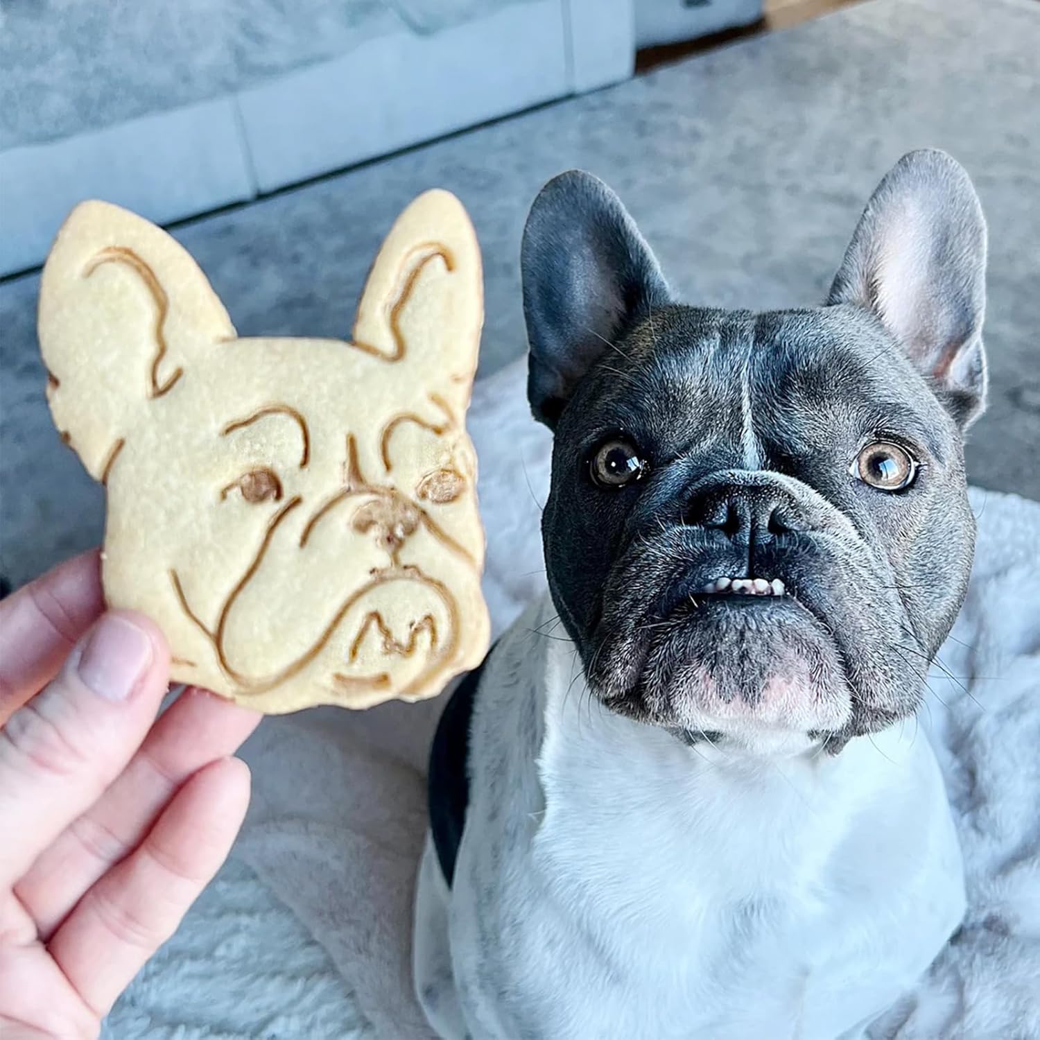 Custom Pet Portrait Cookie Cutter - Personalized 3D Printed Dog Cat Cookie Cutter - Food Safe PLA Plastic - Gift for Pet Lovers - Christmas Birthday Baking Tool (STYLE-A)
