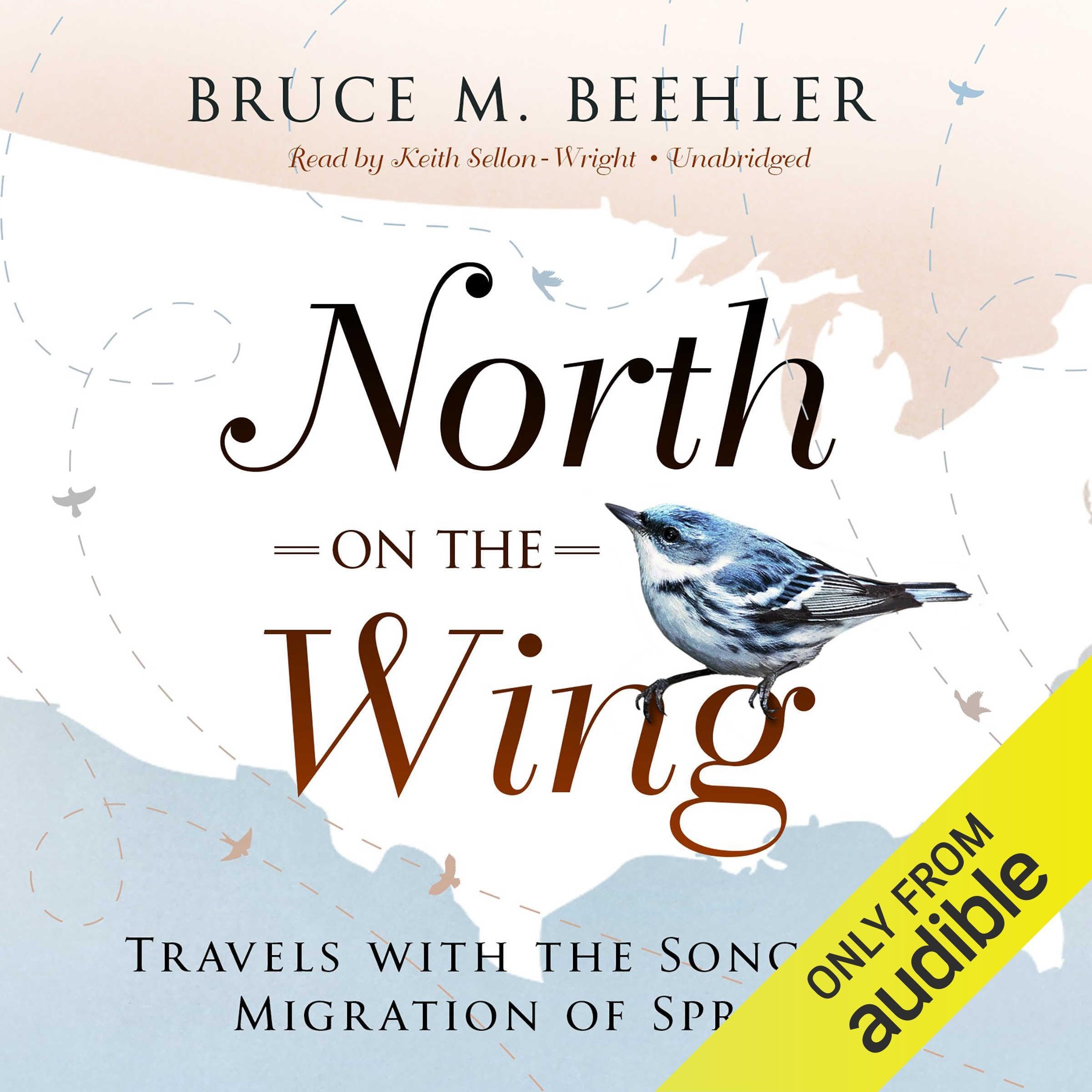 Cover art for North on the Wing