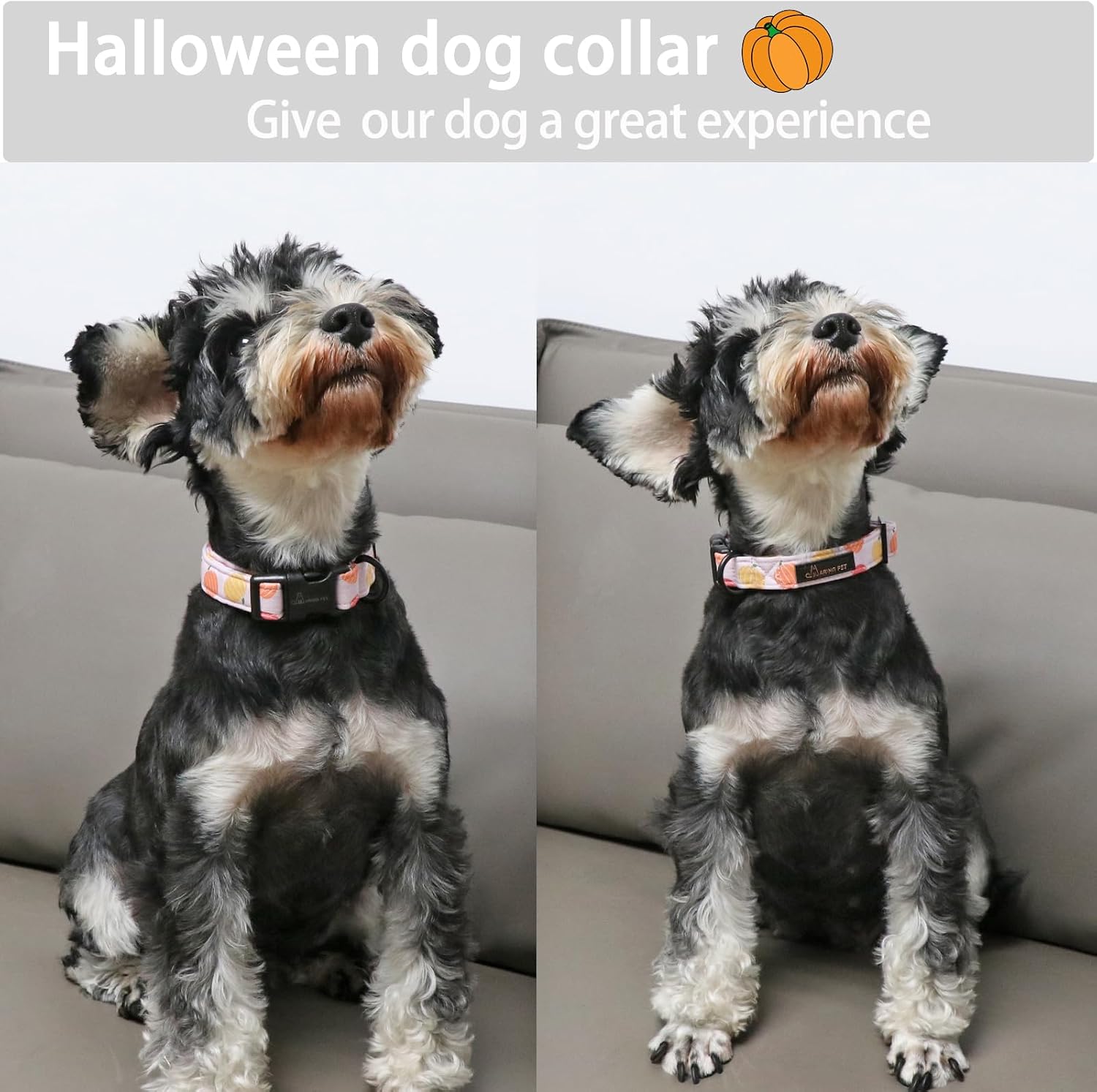 ARING PET Halloween Dog Collar-Cute Pumpkin Dog Collar for Small Dogs, Cotton Pink Girl Dog Collars with Quick Release Buckle for Small Medium Large Dogs X-Small image 4