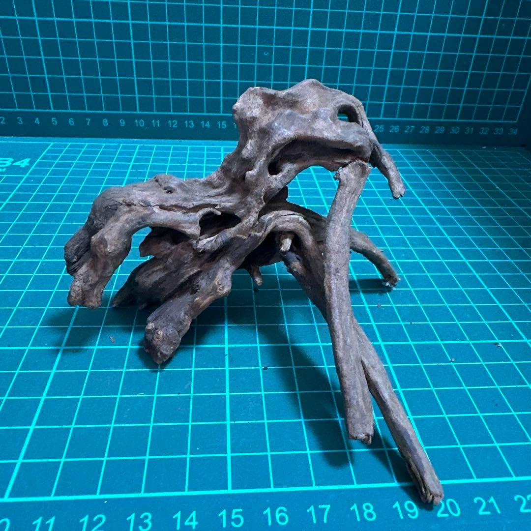 小流木 水槽用流木 アクアリウム k197