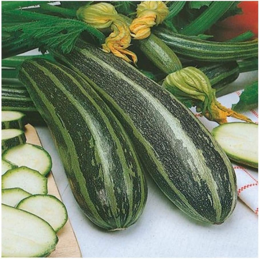 PREMIER SEEDS DIRECT - MARROW - LONG GREEN BUSH 4-40 FINEST SEEDS