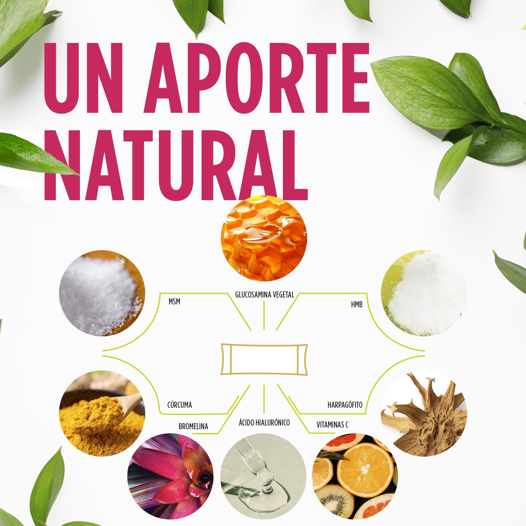 REGENDOL ARTICULACIONES FORTE [Sticks] - Glucosamina, Condroitina y HMB - Huesos, Articulaciónes y Musculos - Con Vitamina C, MSM, Acido Hialuronico, Curcuma y Harpagofito | ELADIET