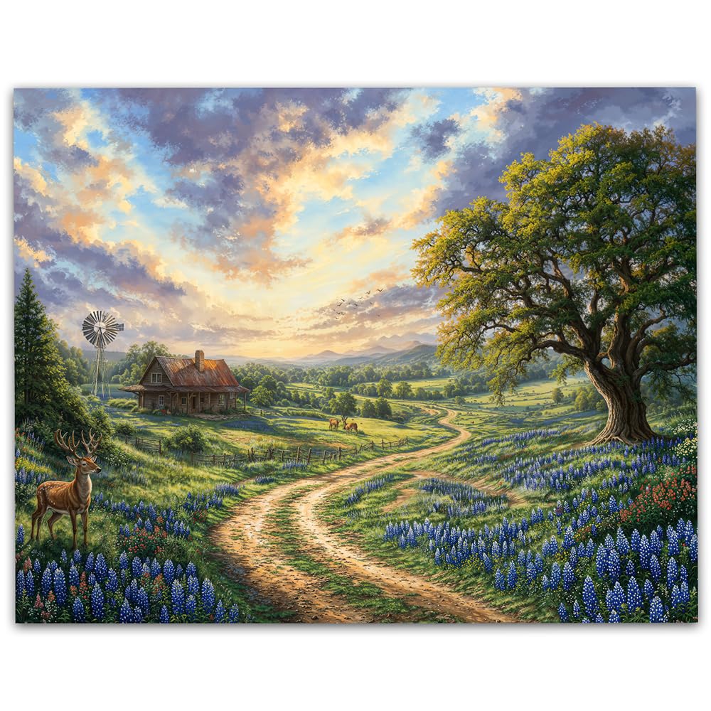 Amazon.com: Texas Sunset Rustic Countryside Landscape Painting