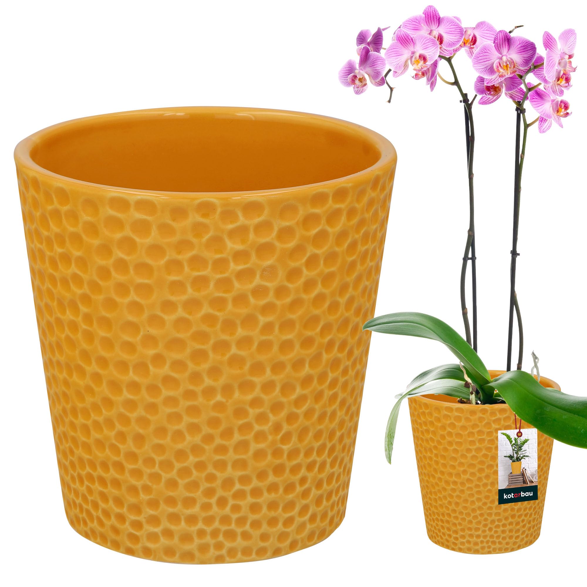 Kotarbau Mustard Color Kotarbau® Flower Pot Ceramic Glazed Orchid Pot Ceramic Flower Pots Ceramic Flower Pot Ceramic Plant Pot Flower Pot Modern Flower Pots Indoor Plants, Mustard Colour, ⌀ 9,5 Cm, Modern