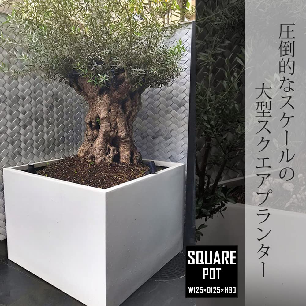 Amazon.co.jp: 大型プランター 超大型 植木鉢 スクエアポット スクエア