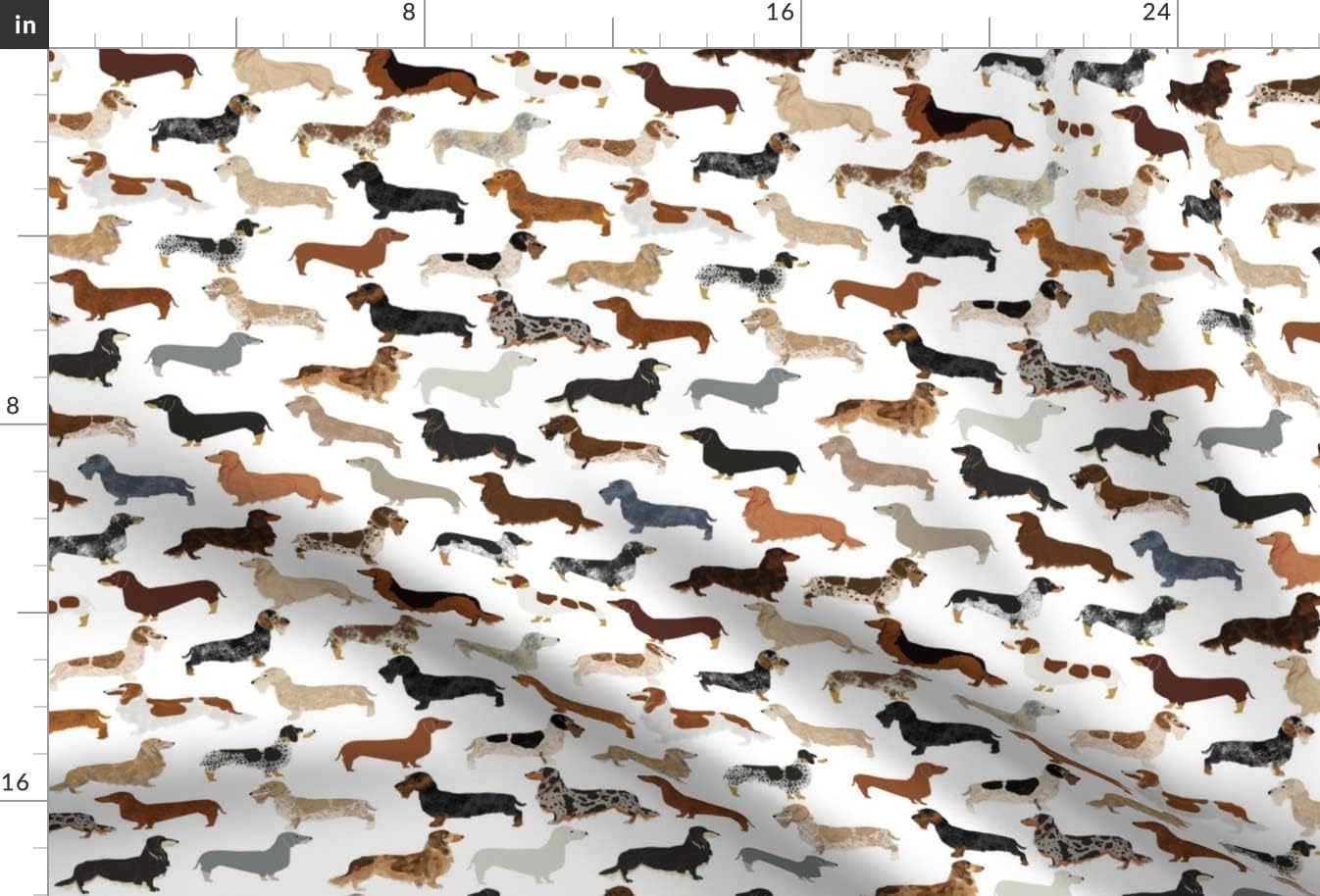 Spoonflower Fabric - Haired Dachshunds Dogs Pets Dachshund Pet Printed on Minky Fabric by The Yard - Sewing Baby Blankets Quilt Backing Plush