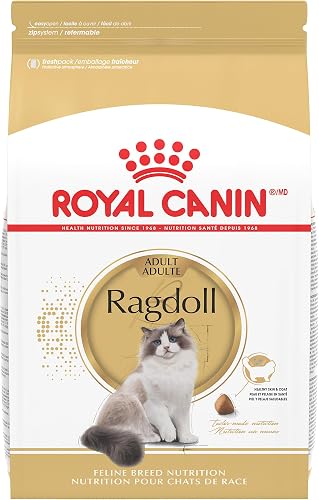 Royal 542907 dry cat food