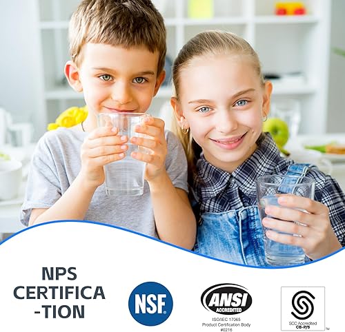 Miniatura 13 de BLUERISE Filtro de agua de 5 micrones de 10 x 2.5 pulgadas de repuesto para sedimentos para toda la casa, cartucho de repuesto para filtro de agua