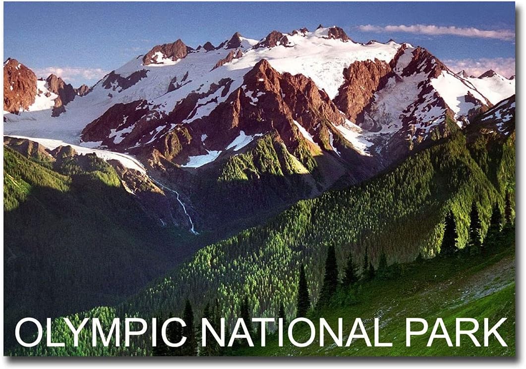 Imanes para Refrigeradores