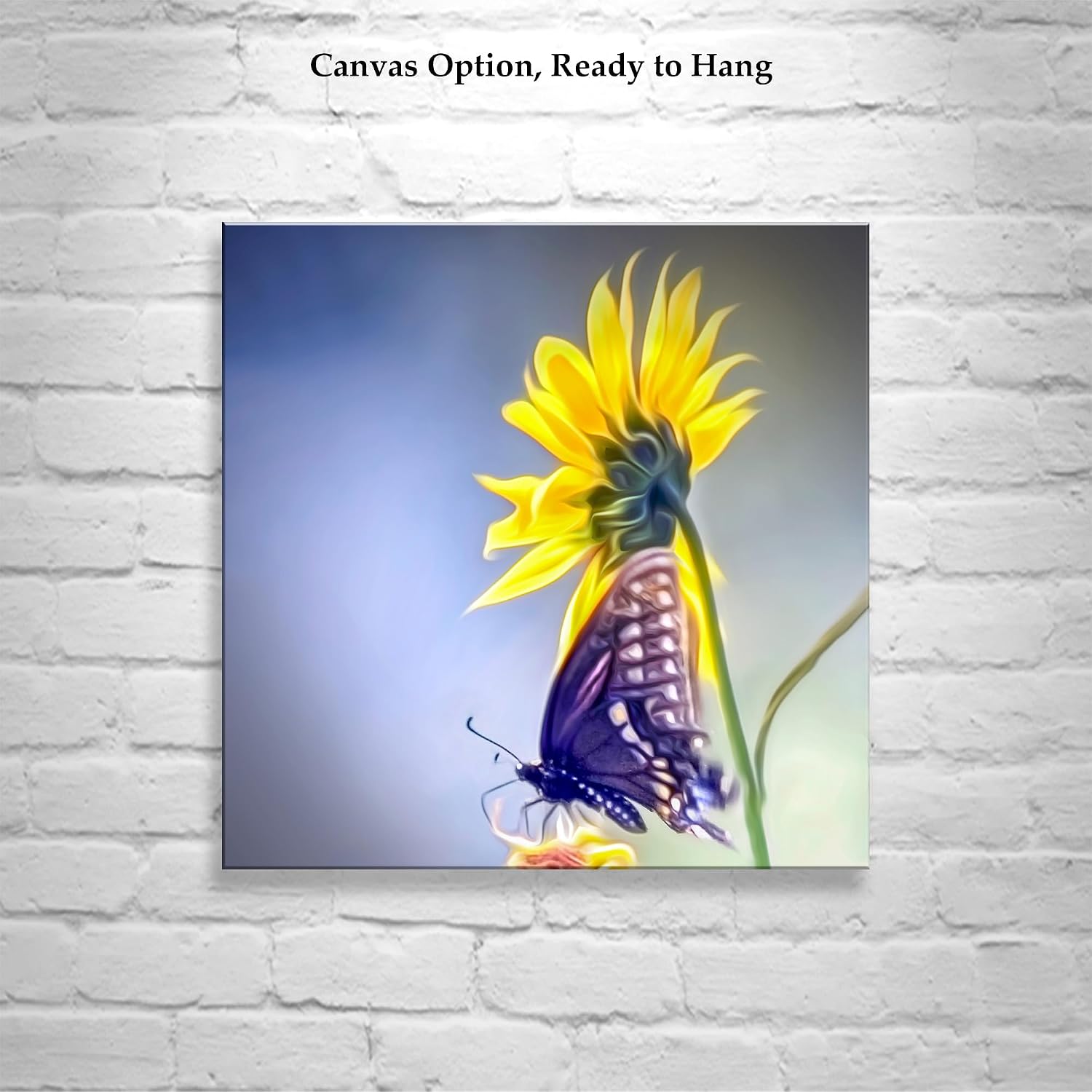 Sunflower Photograph with Swallowtail Butterfly on Square Print