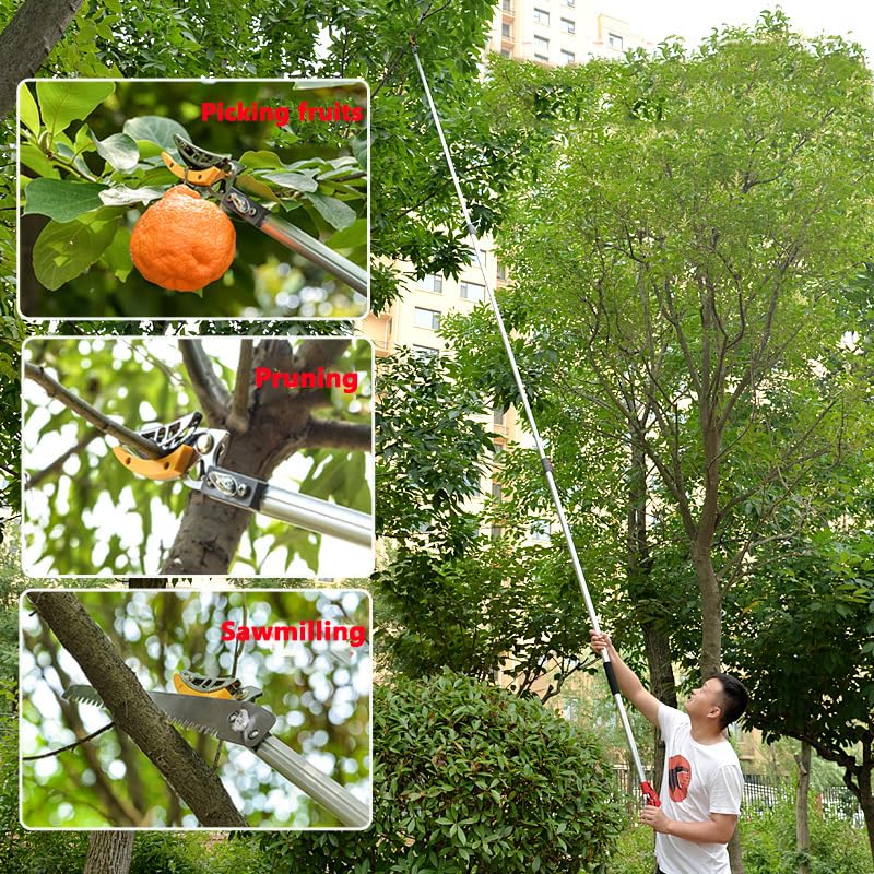 Genérico Podadora telescópica de Largo Alcance con Cabezal de Hoja giratoria, Mango Extensible de Aluminio Ligero para Cortar Ramas de árboles, Alcance de 5 m