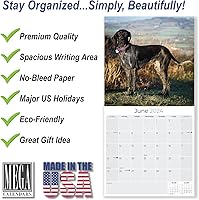 Vista 412 de Razas de Perros 2017