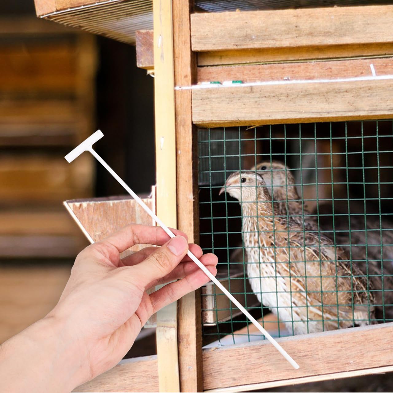 POPETPOP Lot de 10 pièges à pigeons en forme de T