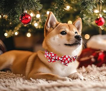 Tunkoo Christmas Dog Collar & Leash Bundle, S