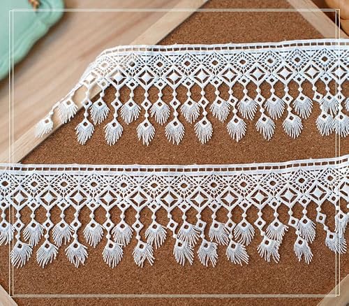 bnjlSDATwr fringe trim， Fringe Trim Tassel,Curtain Applique,5 Yards Embroidery Lace DIY Sewing Clothing Dress Embellishment(White)