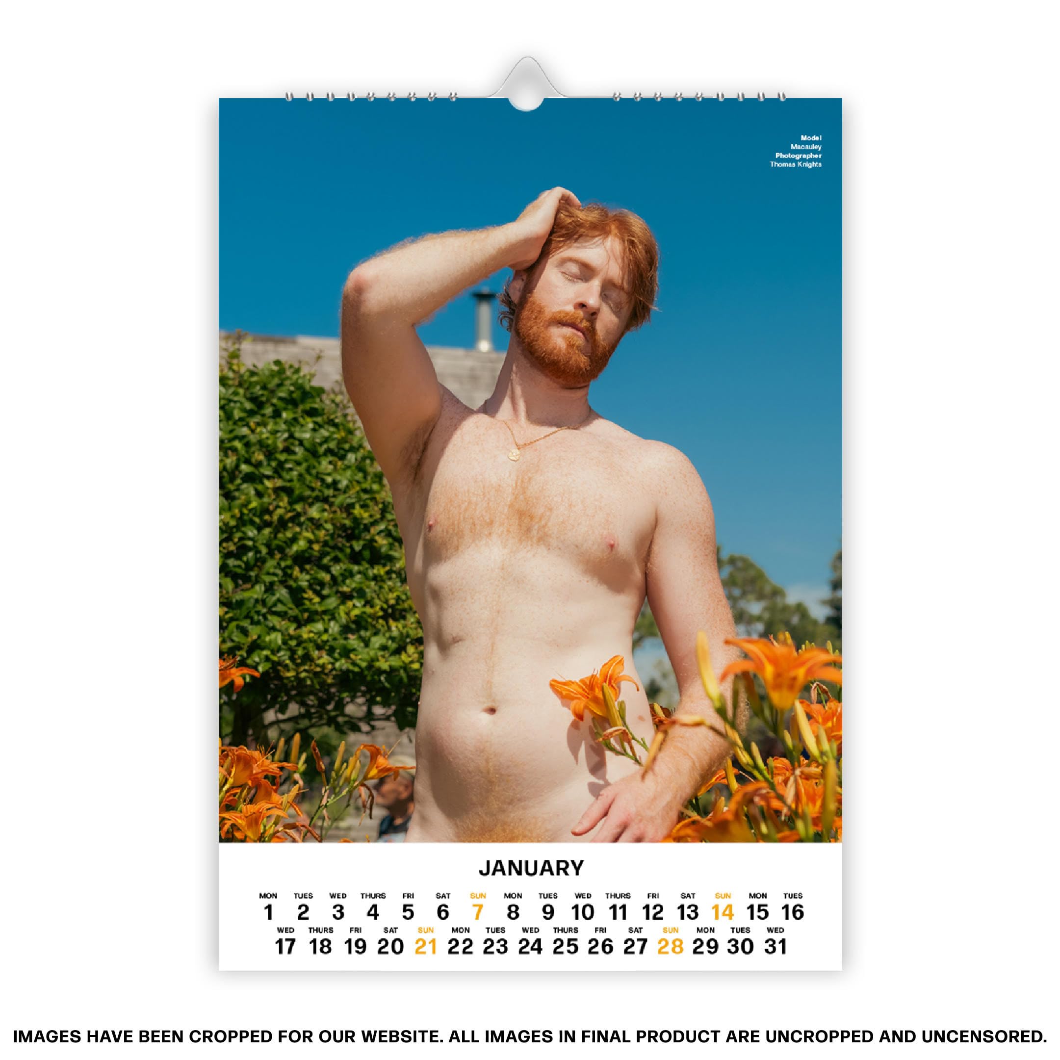Red Hot Calendrier 2025 Fire Island