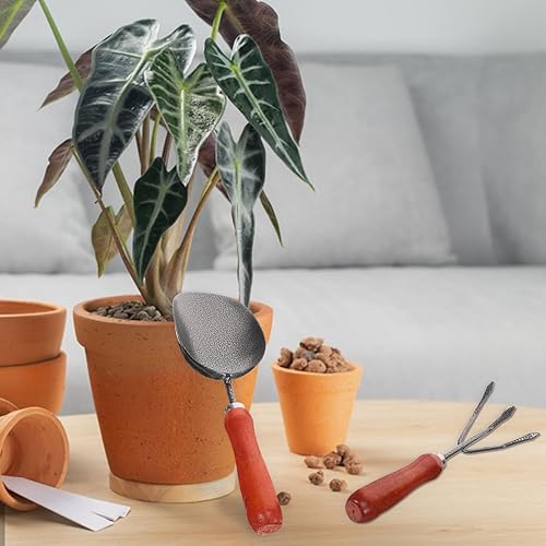 Miniatura 9 de TOYANDONA 1 juego de herramientas de jardinería de mano, pala de jardín y rastrillo para plantar deshierbe y trasplante y herramientas de jardinería