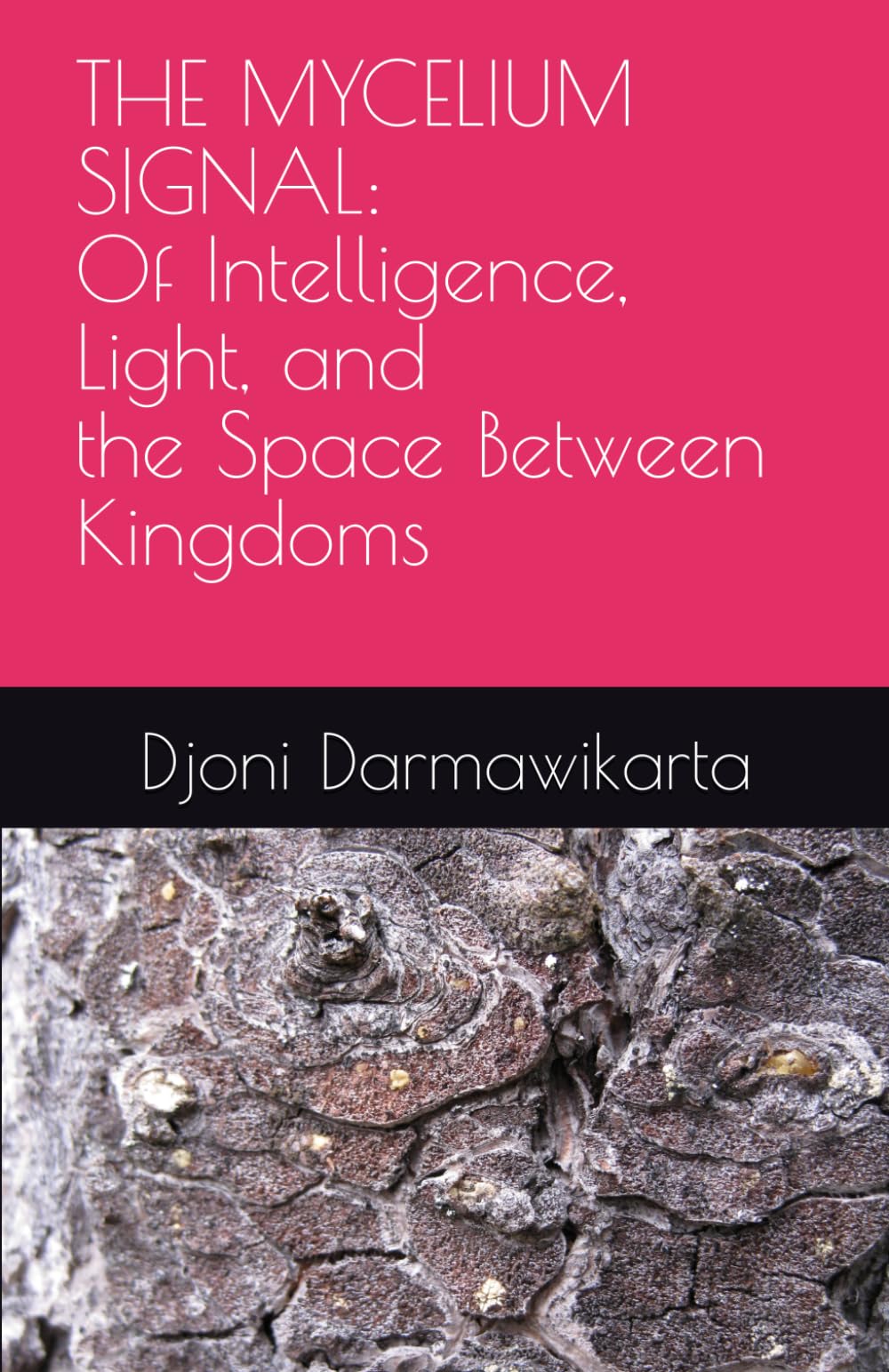 THE MYCELIUM SIGNAL: Of Intelligence, Light, and the Space Between Kingdoms
