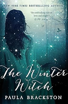 The Winter Witch book cover