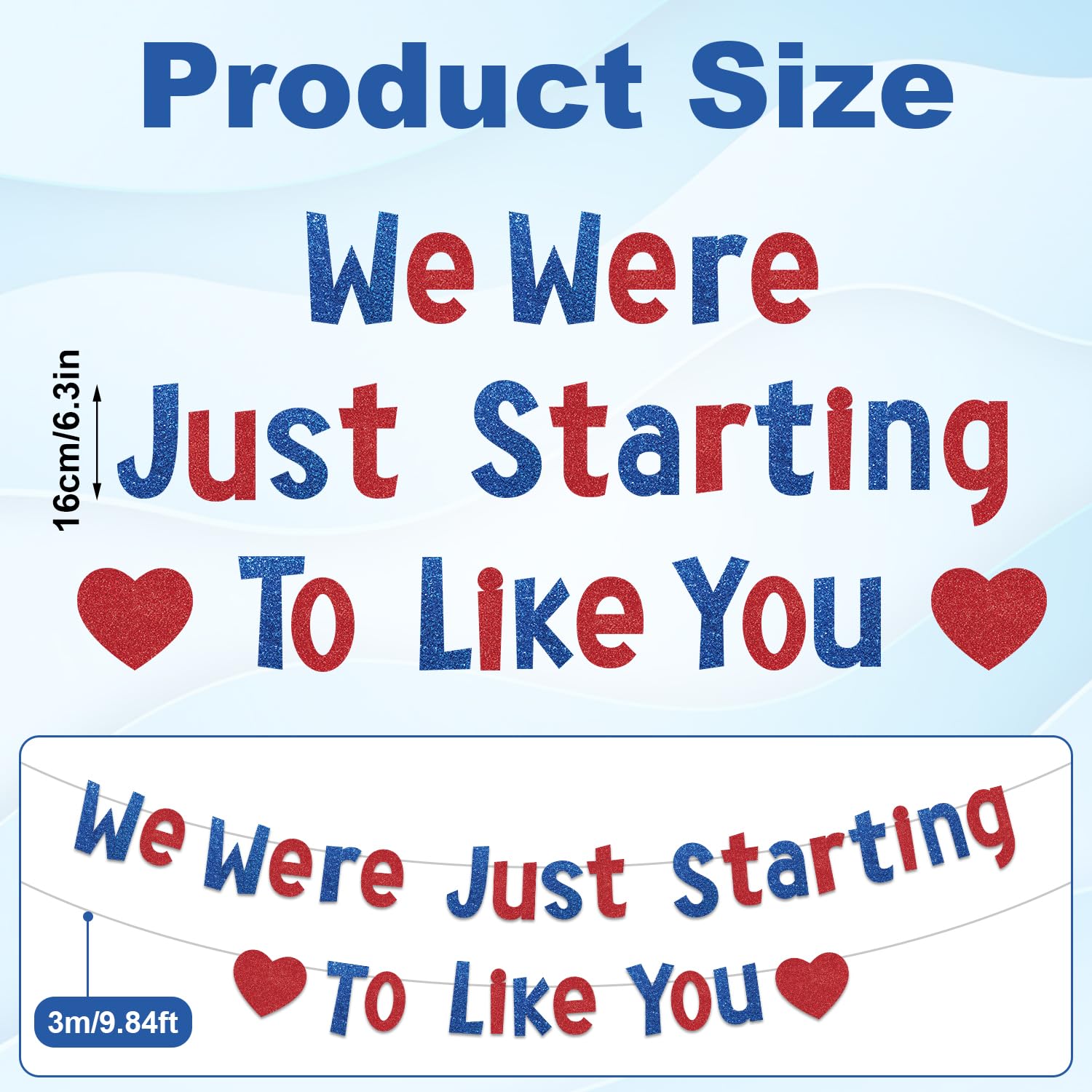 Glitzer-Banner ‚We Were Just Starting To Like You‘ – 3 M, Vorgefädelt, Für Abschied & Ruhestand