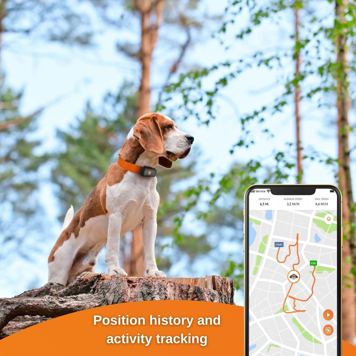 Dog GPS Tracker Weenect XS (Black Edition 2023) RealTime GPS