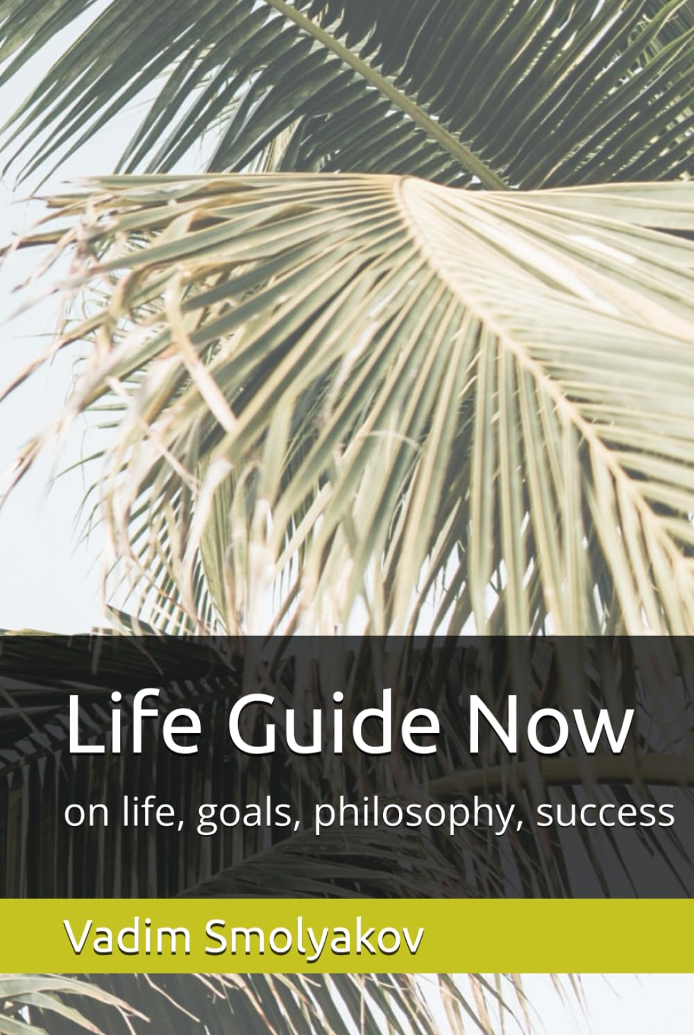 Life Guide Now: on life, goals, philosophy, success