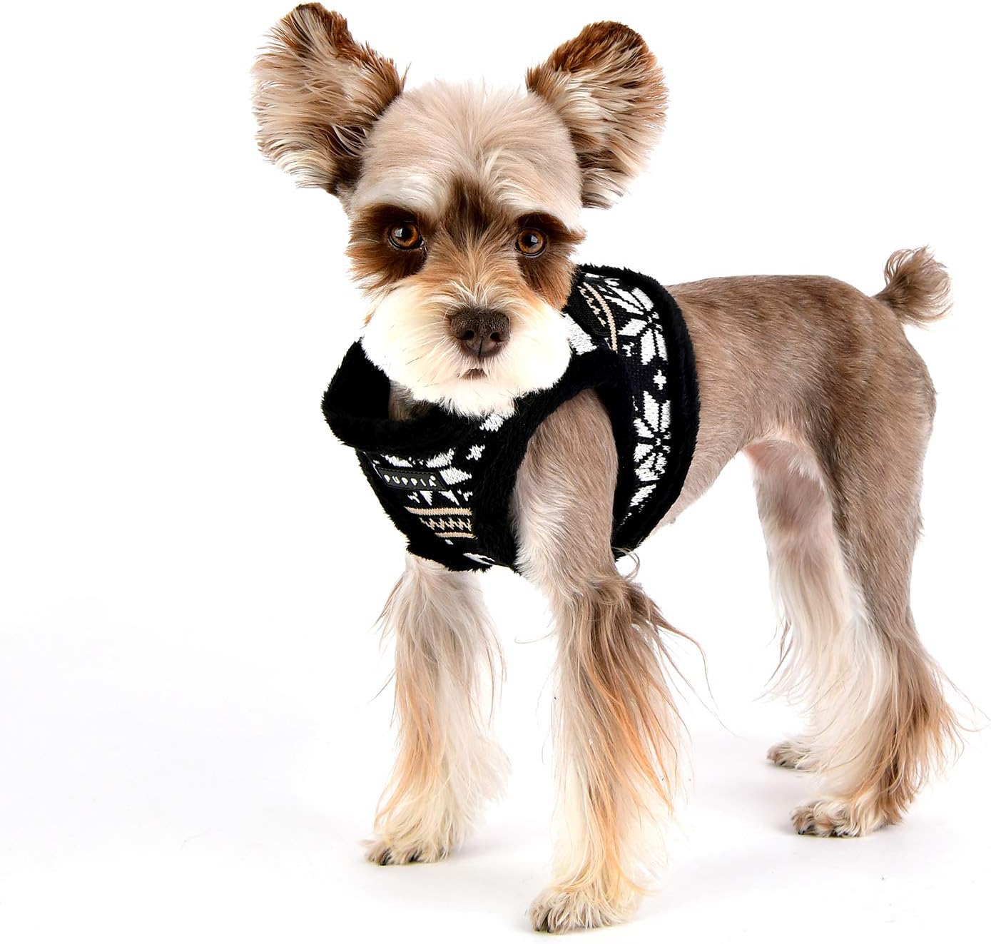 Puppia Prancer Harness B - Black - S