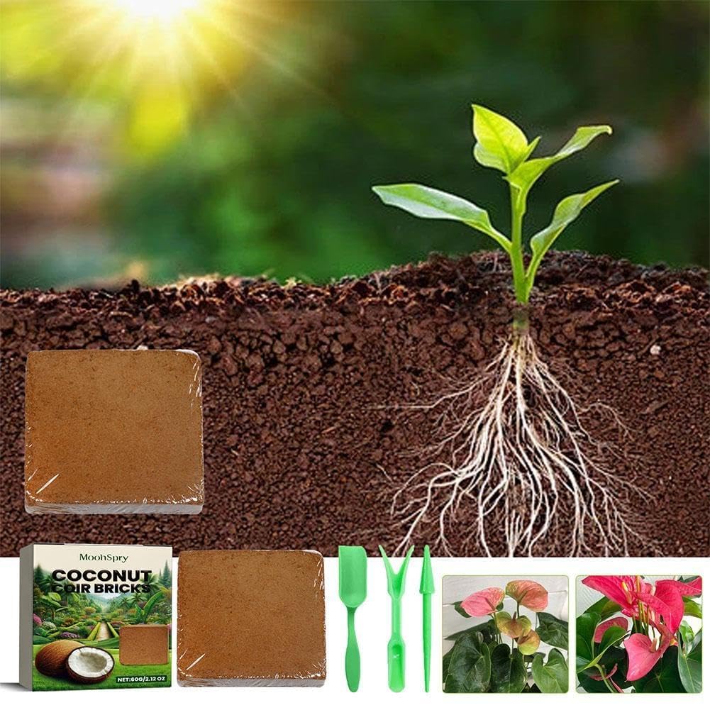 Substrato in fibra di cocco per rettili, biancheria da letto naturale per terrari per tartarughe e lucertole, forniture ecologiche per rettili, ideale per il supporto dell'habitat, 5 l