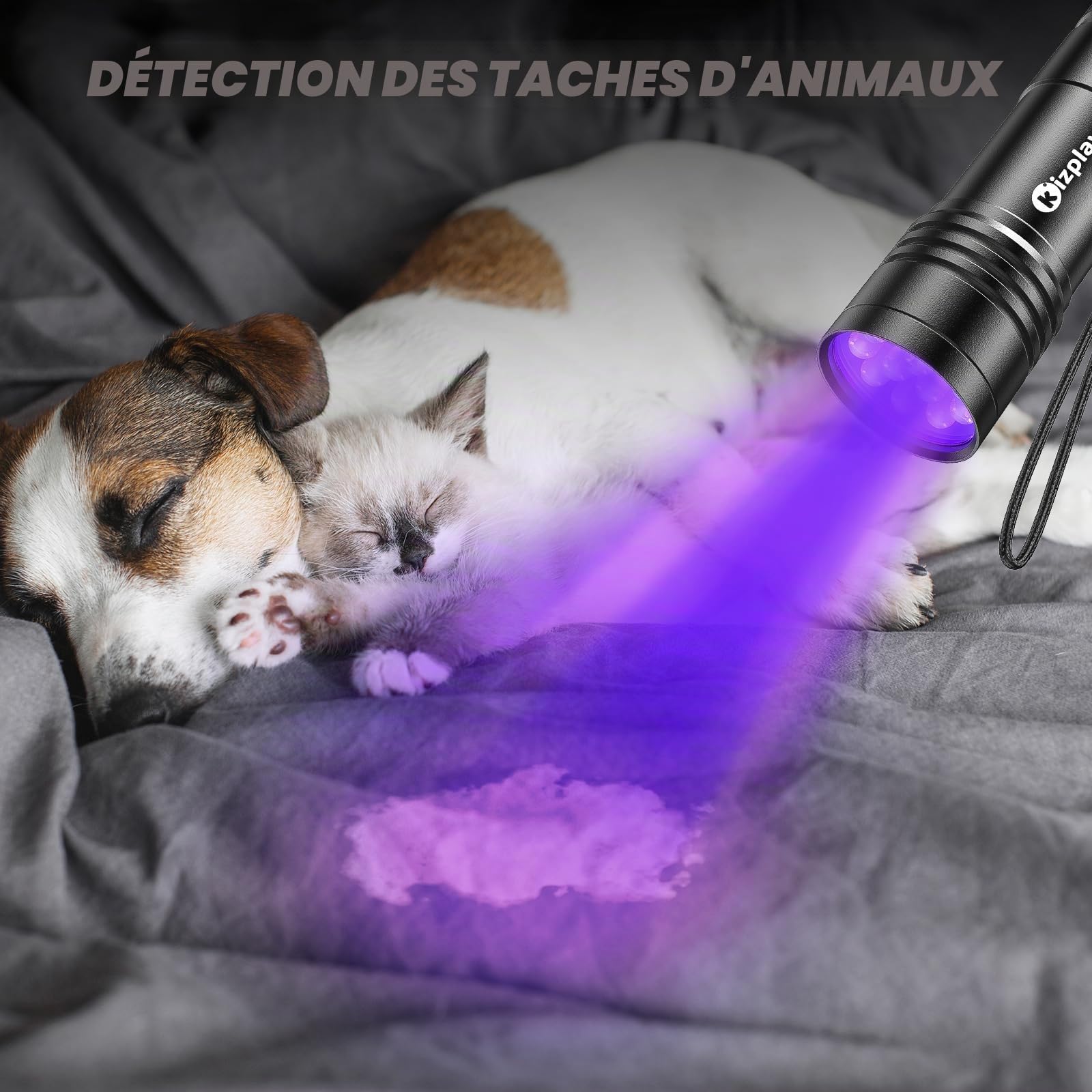 kizplays Lampe de poche UV, 395 nm, détecteur de lumière noire pour urine d'animaux, taches, punaises de lit et plus encore, 3 piles AAA incluses [Classe énergétique A+]