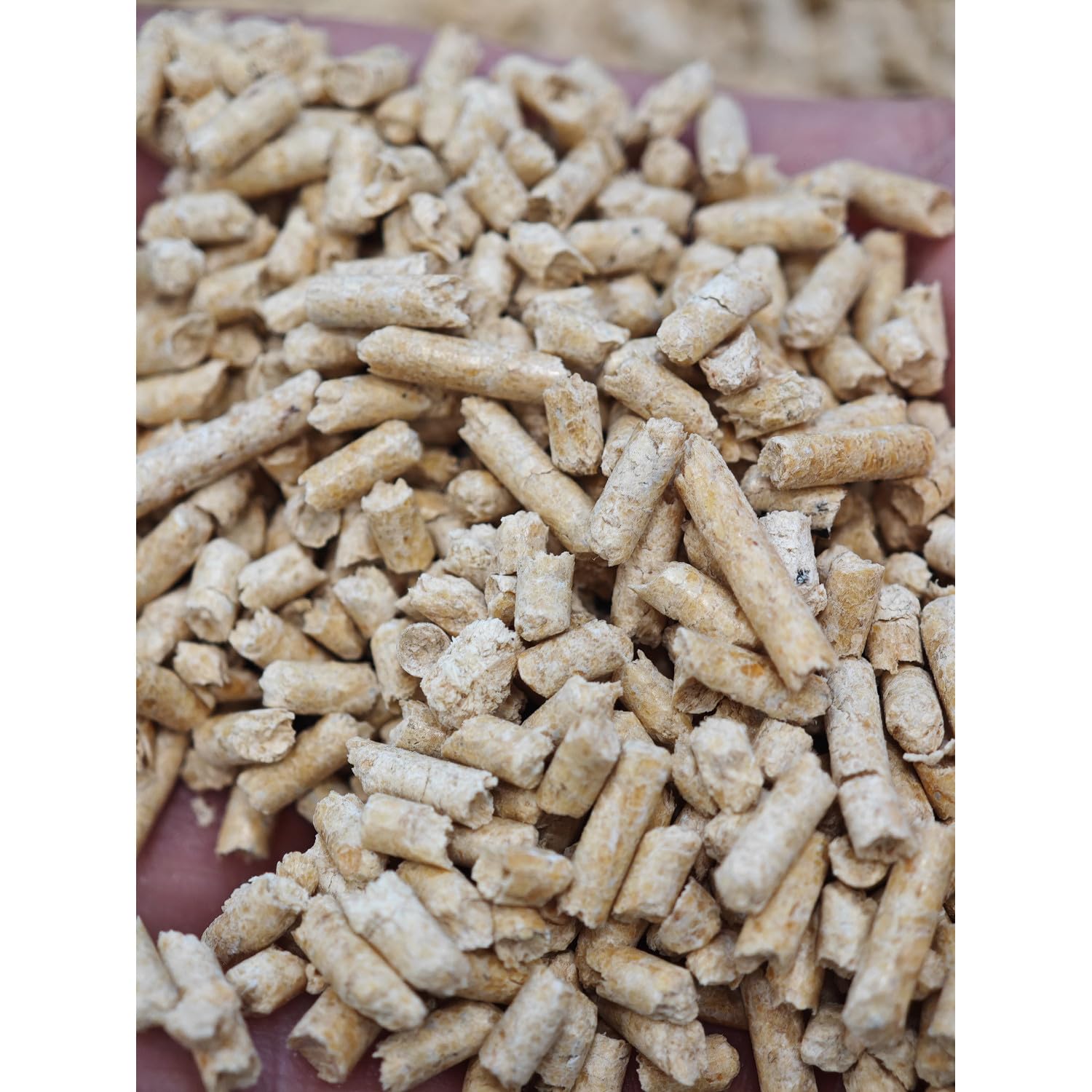 Animax Golden Line Lettiera agglomerante 3 mm a bassa polvere assorbimento odori adatta gatti coniglietti roditori biodegradabili compostabili (20L)