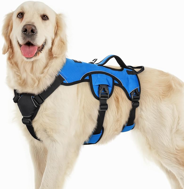 Peitoral Vest para Cães Grandes rabbitgoo com Alça de Controle, Ajustável e Refletivo