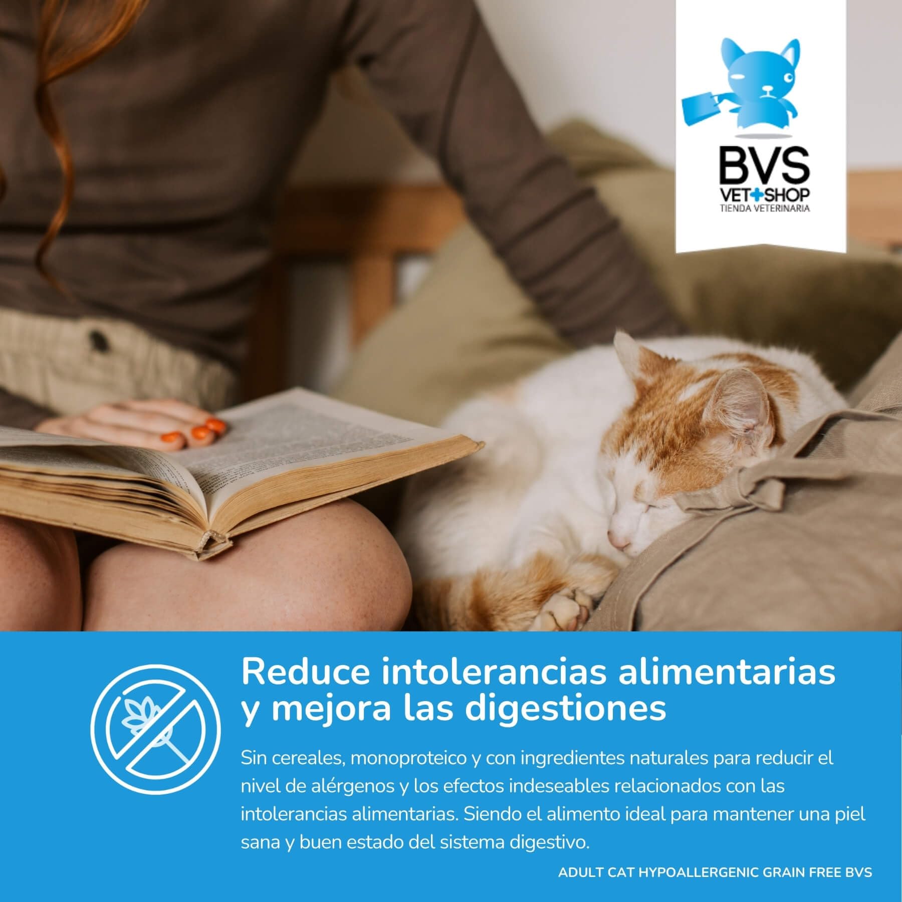 BVS Vet Shop | Adult Cat Hypoallergenic Grain Free para Gatos | Sin Cereales para Gatos Adultos con intolerancias o alergias alimentarias a Partir de los 4 Meses | 12Kg