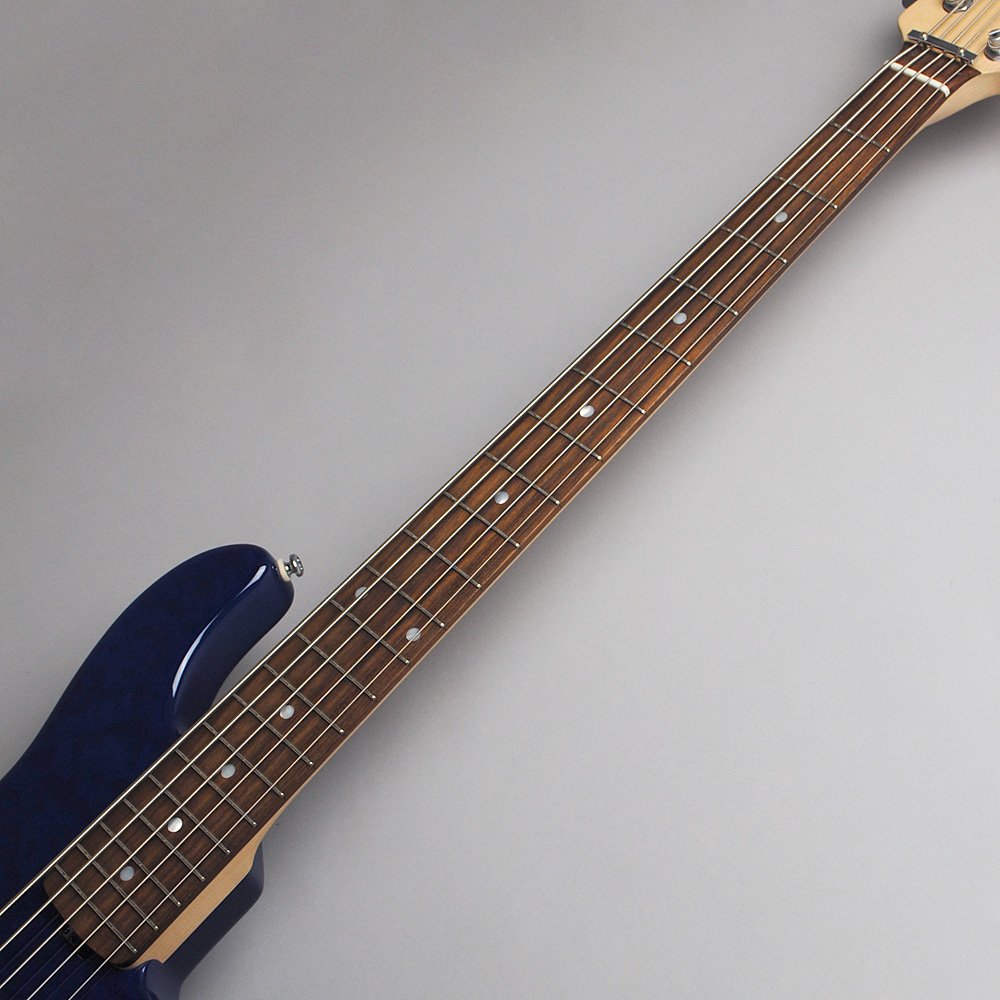 Amazon.co.jp: LAKLAND SK-5DX/R/BT エレキベース レイクランド : 楽器