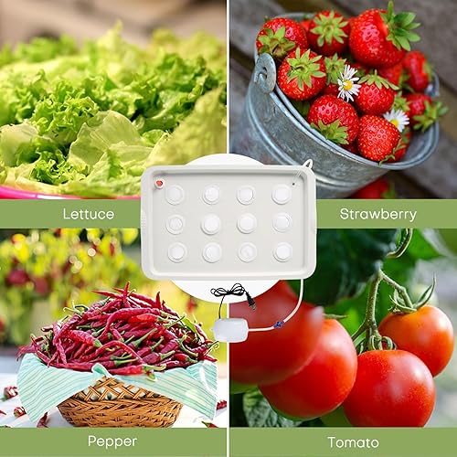 Miniatura 5 de NATGAI Kit de cultivo de sistema hidropónico con bomba de aire, 12 agujeros, caja de cultivo sin suelo, caja de jardín para hierbas, lechuga,
