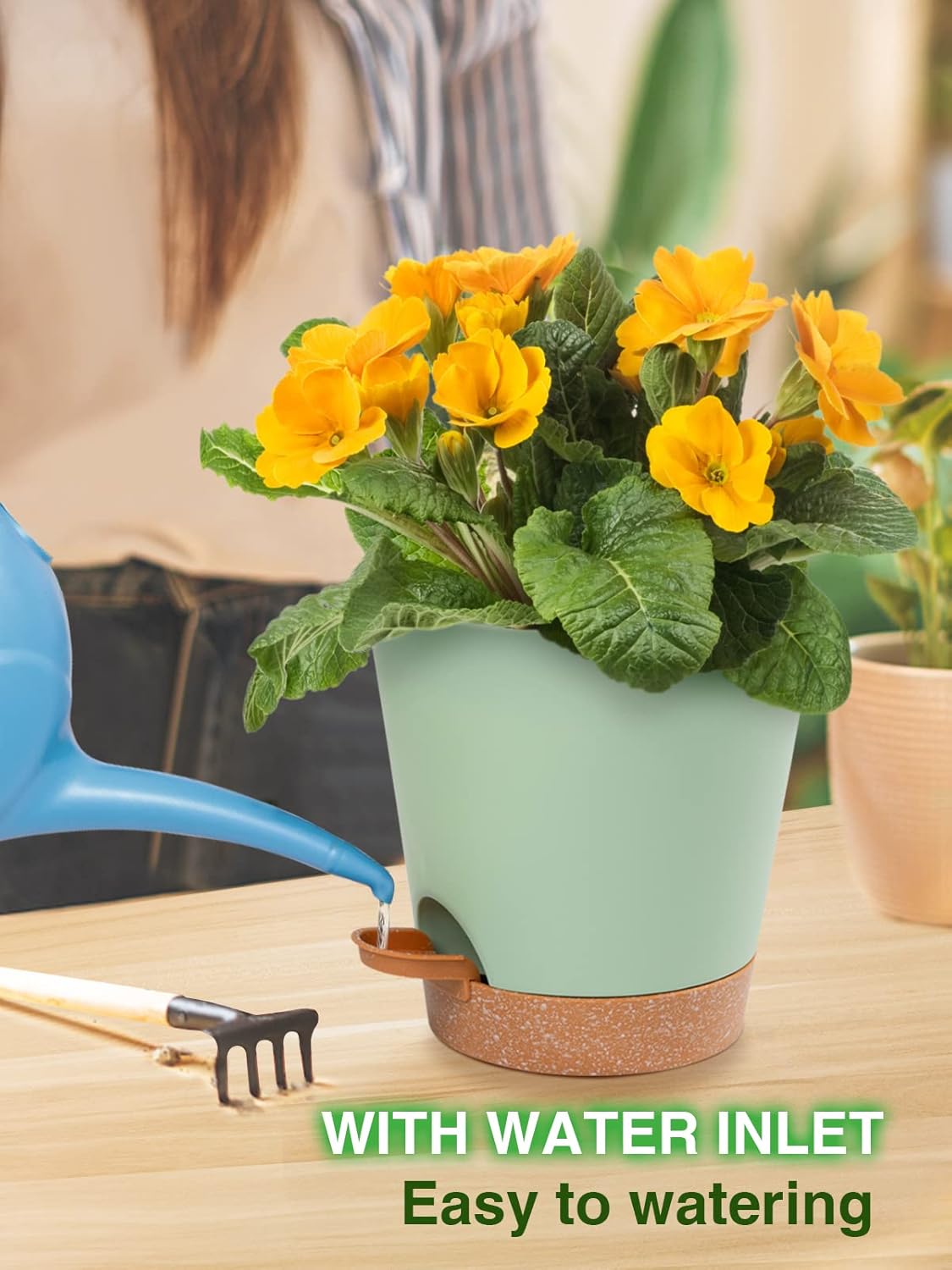 Aulo Self Watering Pots for Indoor Plants - Bottom Watering African