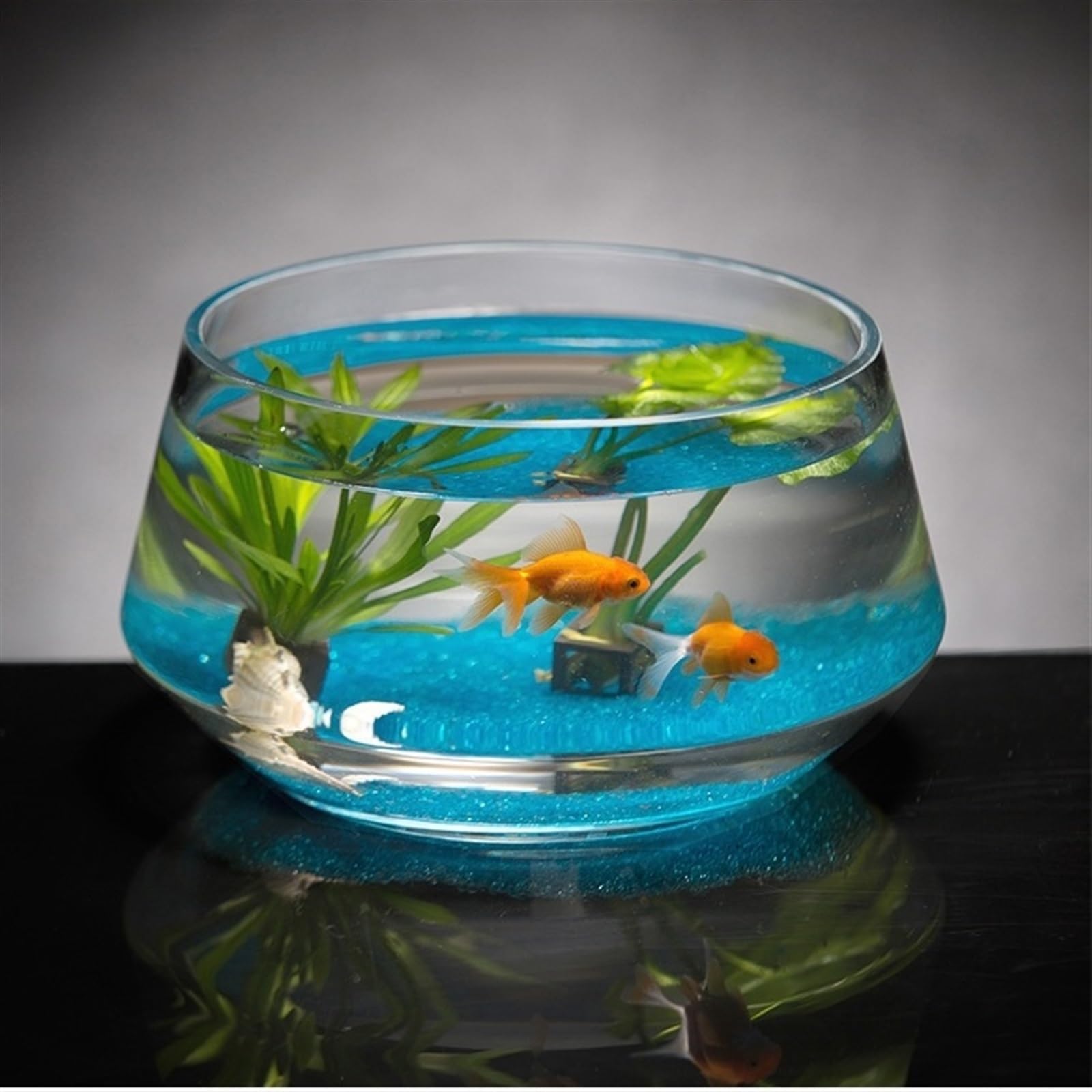 Pesci d'acqua dolce Acquario di vetro for la casa, il soggiorno, l'ufficio, trasparente(25x15x20cm)