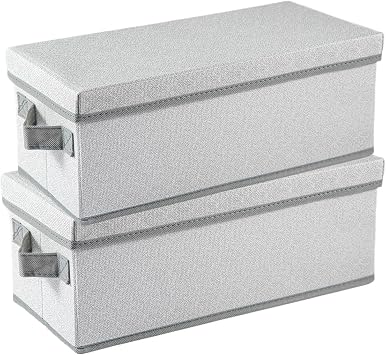 Foldable Storage Boxes with Lids Fabric Collapsible Storage Bins Wardrobe Closet Home Baskets Containers with Cover for Underwear Clothes CDs Arts and Crafts Toys Gery, 2Pack 36x17x14cm