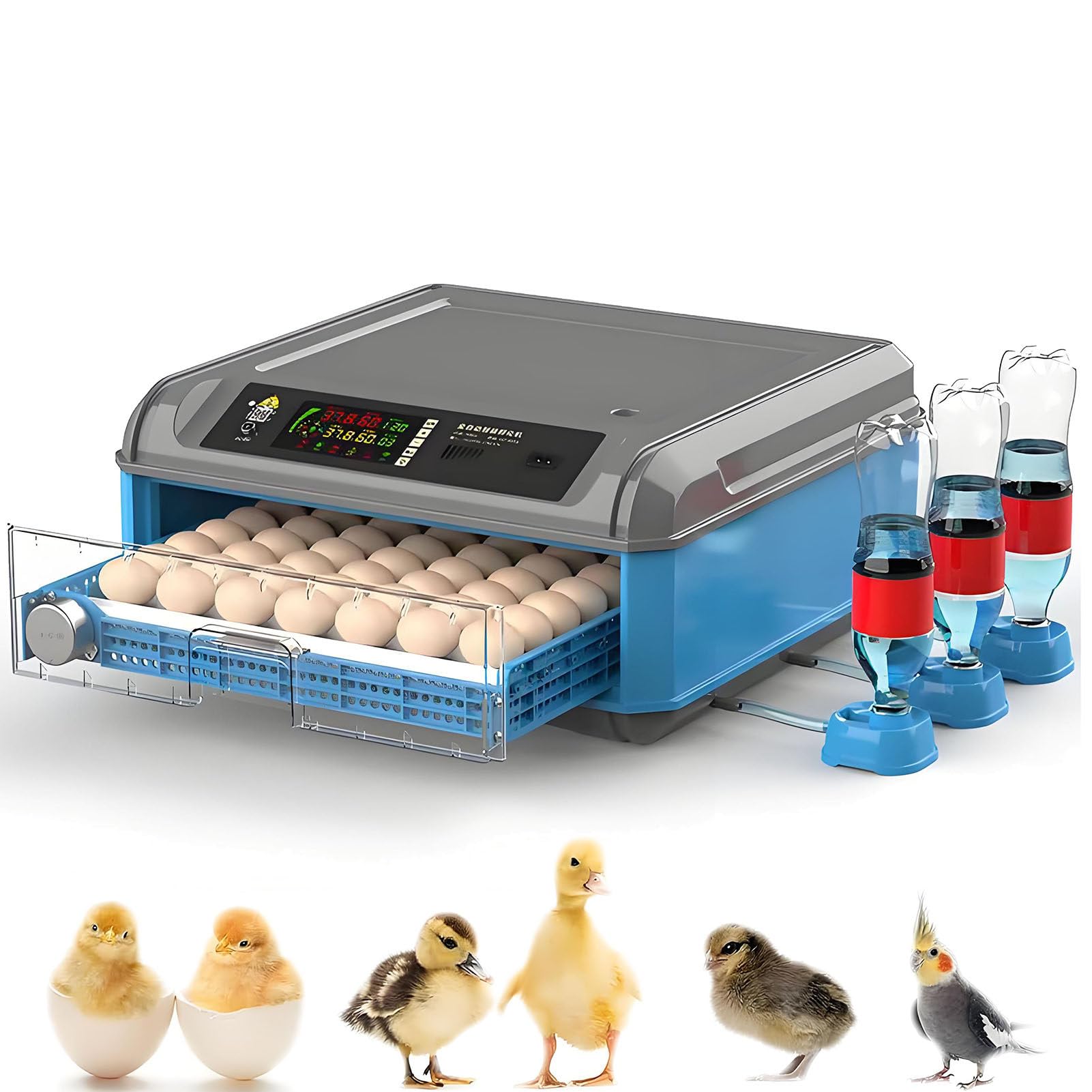 SHENGSHIYU Egg Incubator for Chickens Ducks Goose Birds,Fully Automatic Poultry Hatcher with Intelligent Temperature Control and Humidity Control,Full-Automaatic Incubator for Home Use 1Layer