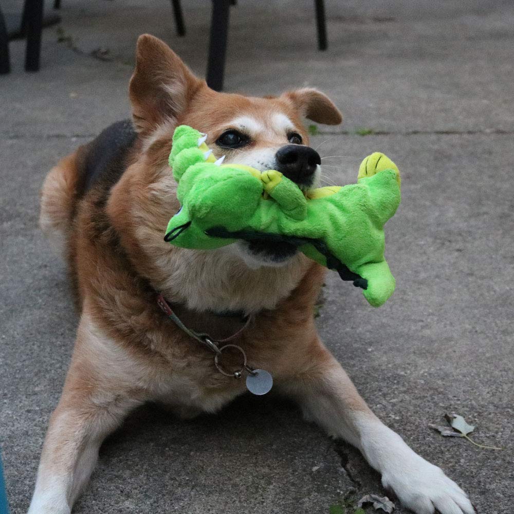 SmartPetLove Tender-Tuffs Plüschspielzeug Für Hunde – Krokodil Mit Quietscher, Für Kleine Bis Große Hunde