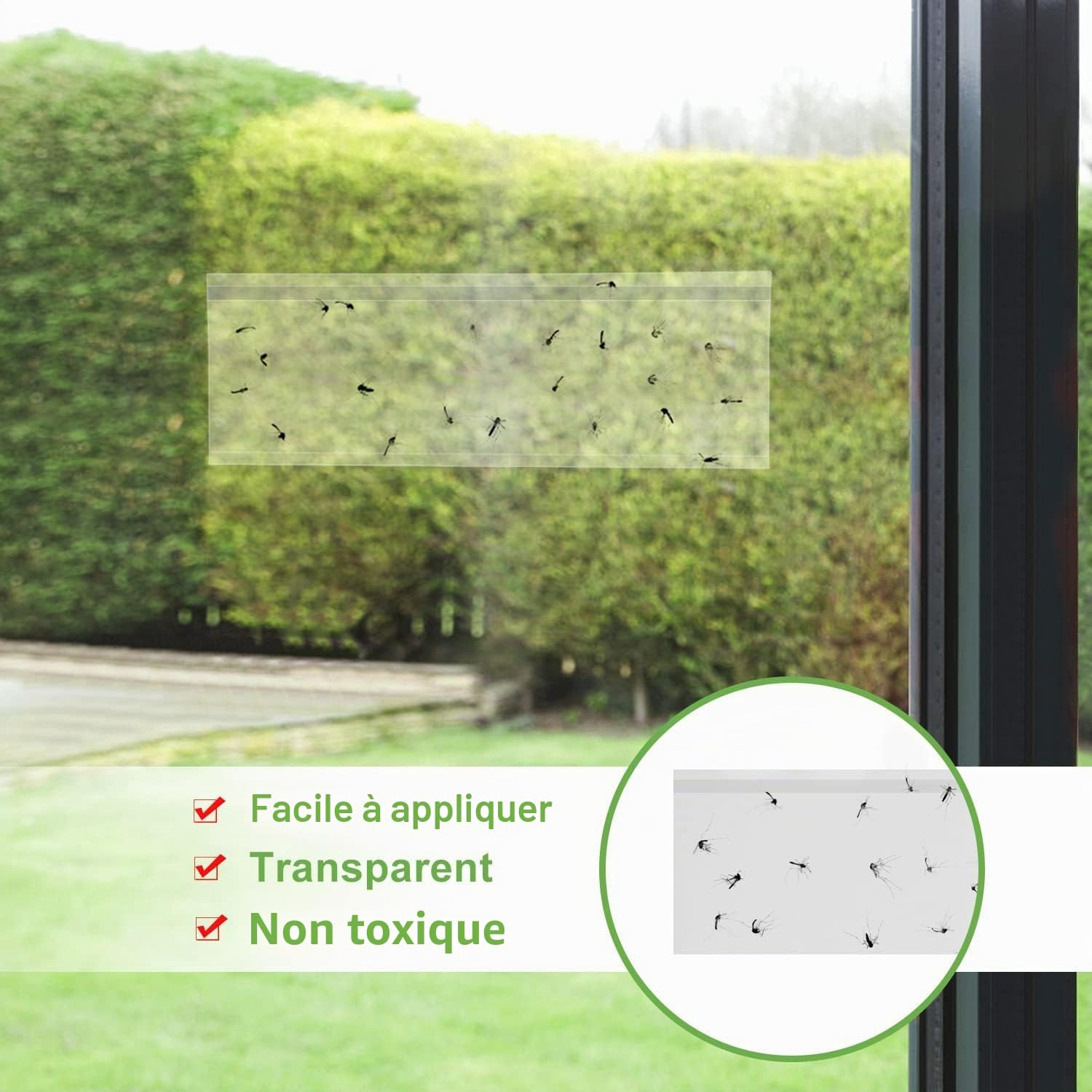 Lot de 100 pièges à Mouches pour fenêtre - Bandes adhésives en Papier Transparent pour fenêtre - Piège à Mouches - pour Maison - Étanche - pour l'intérieur et l'extérieur