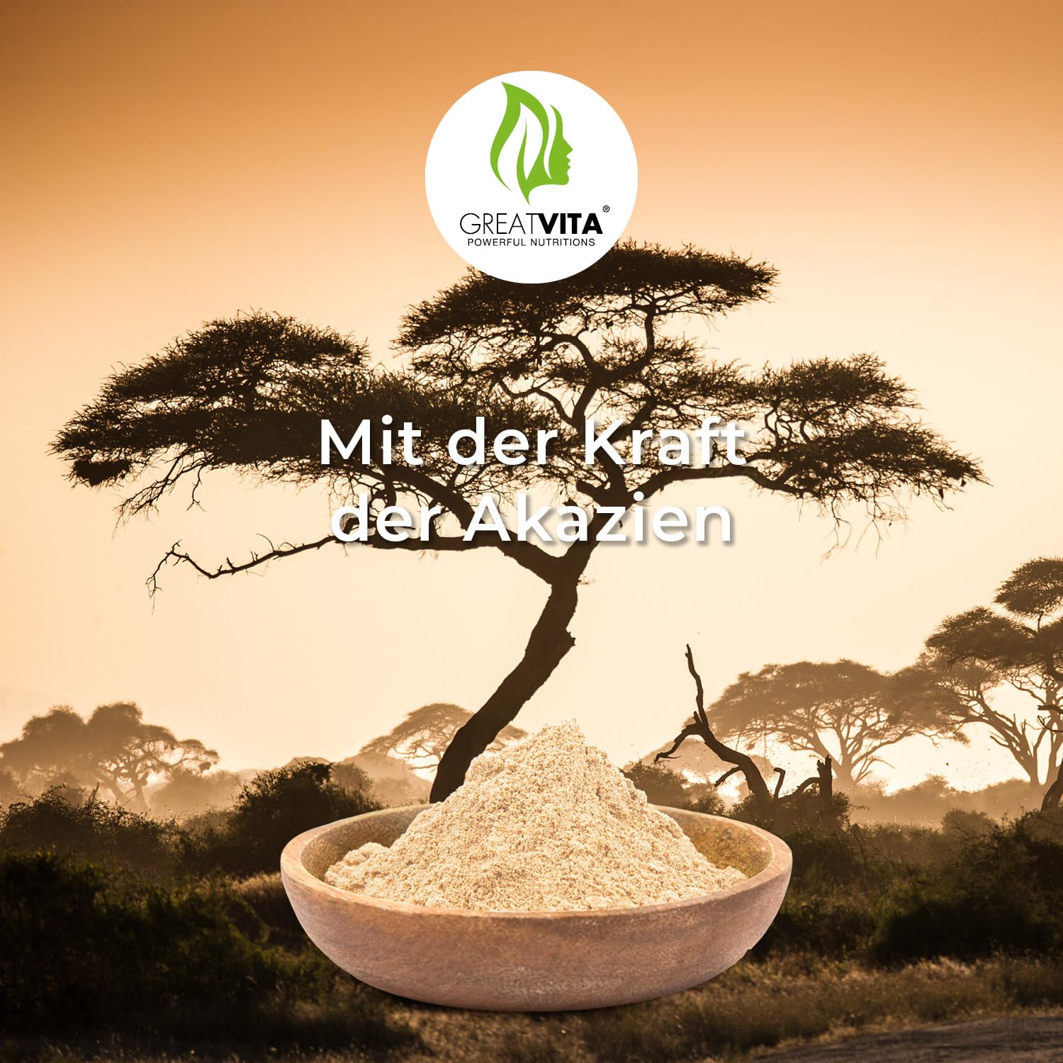 GreatVita Bio Akazienfaser Pulver 400g | über 90% lösliche Ballaststoffe - geschmacksneutral & 100?% löslich | vegane Acacia Fibre mit Calcium, Magnesium, Kalium & Phosphor | ohne Gentechnik & Zusätze