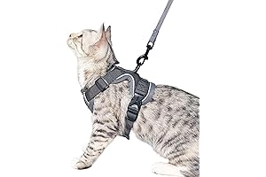 Escape Proof Tactical Cat Harness & Leash Set for Large Cats